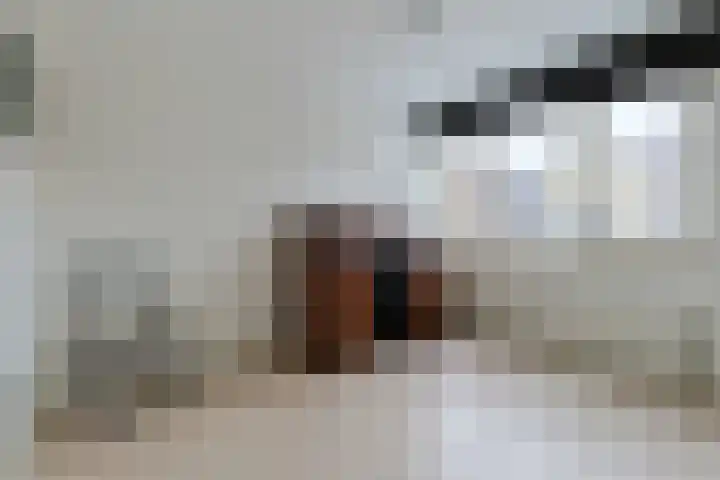 De Oude Wereld 112 Alphen aan den Rijn thumbnail 42