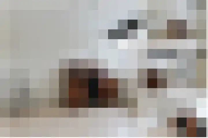 De Oude Wereld 112 Alphen aan den Rijn thumbnail 44