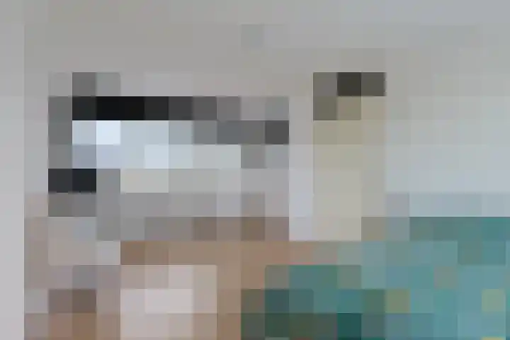 De Oude Wereld 112 Alphen aan den Rijn thumbnail 49