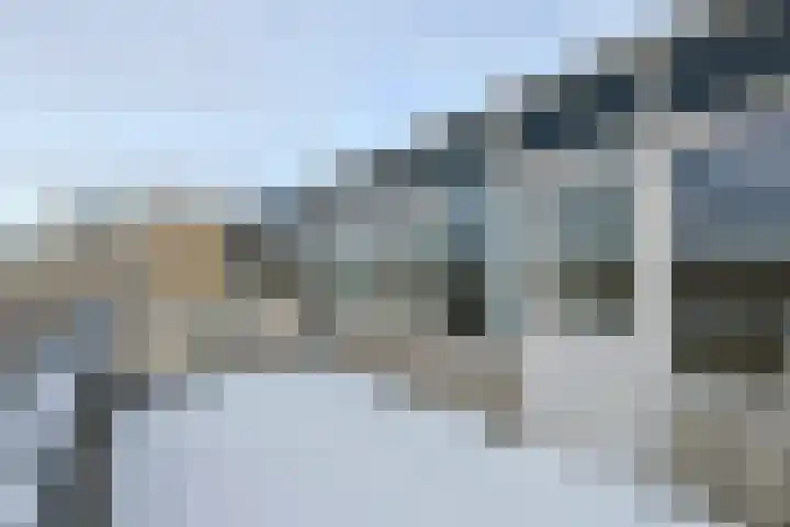 De Oude Wereld 112 Alphen aan den Rijn thumbnail 57