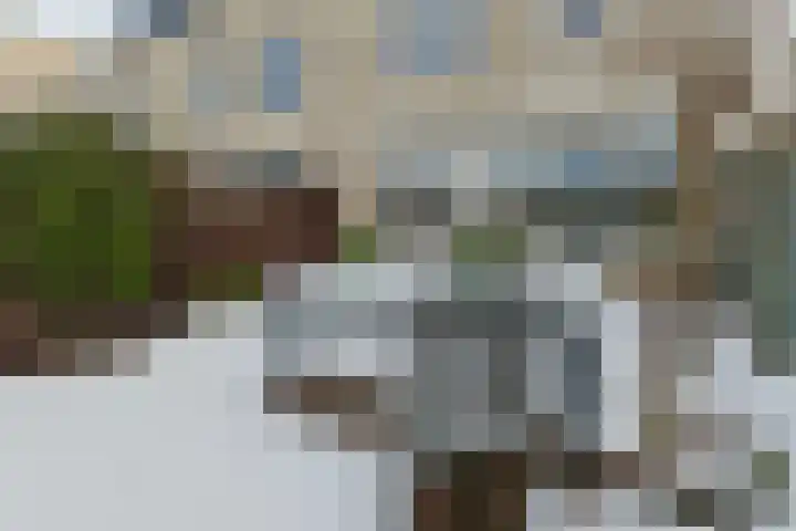 De Oude Wereld 112 Alphen aan den Rijn thumbnail 60