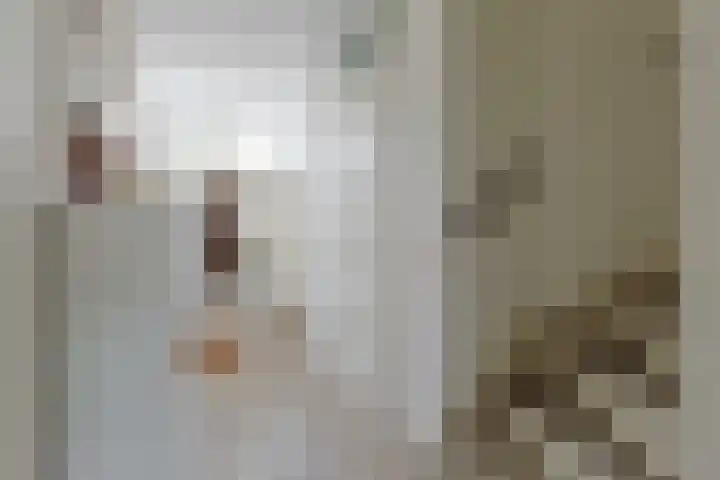 De Oude Wereld 112 Alphen aan den Rijn thumbnail 7