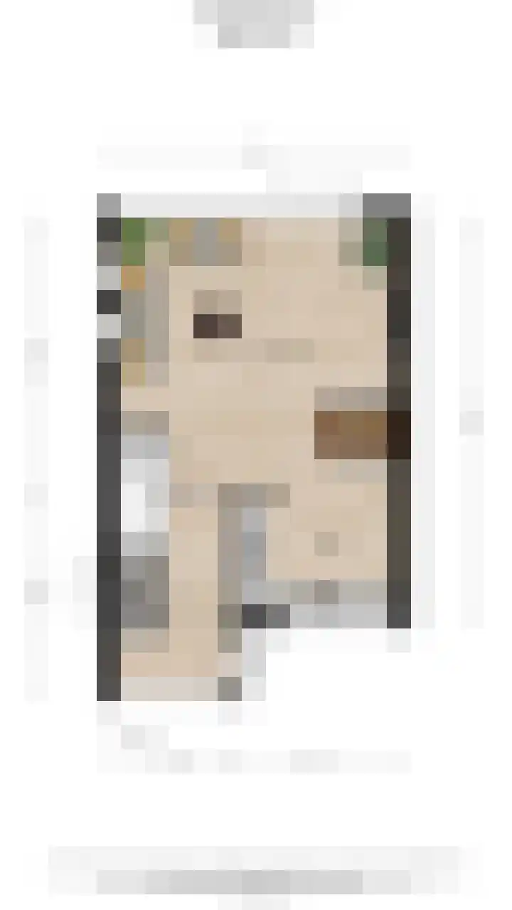 De Oude Wereld 112 Alphen aan den Rijn thumbnail 72