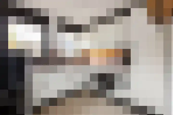 De Oude Wereld 61 Alphen aan den Rijn thumbnail 11