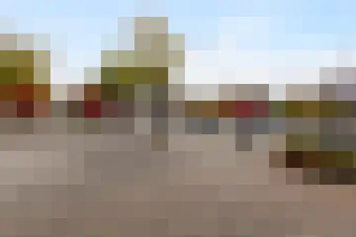 De Oude Wereld 61 Alphen aan den Rijn foto 2