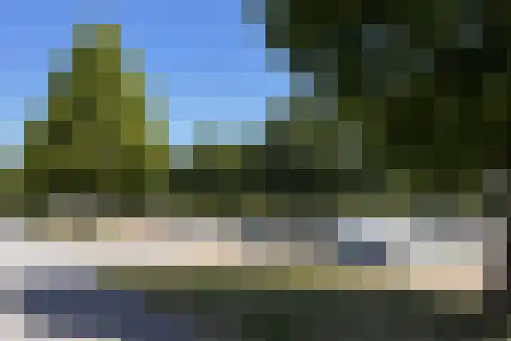 De Oude Wereld 61 Alphen aan den Rijn thumbnail 29