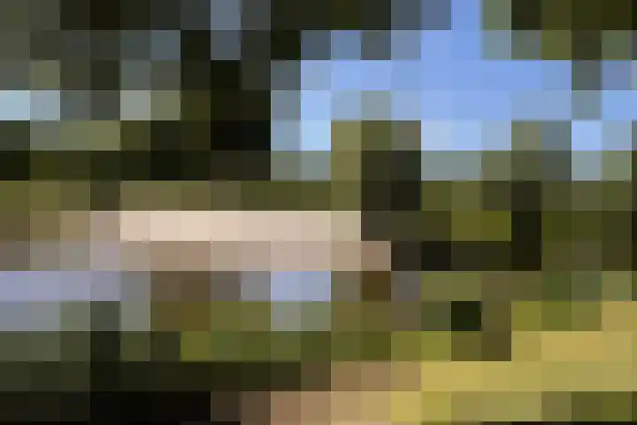 De Oude Wereld 61 Alphen aan den Rijn thumbnail 30