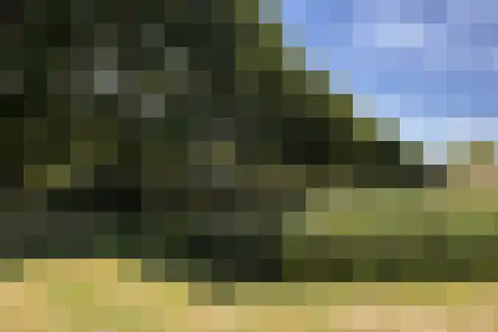 De Oude Wereld 61 Alphen aan den Rijn thumbnail 31