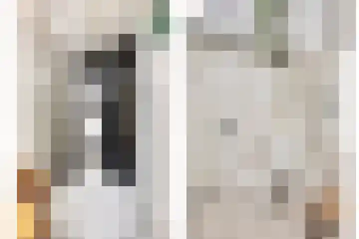 De Oude Wereld 67 Alphen aan den Rijn thumbnail 29