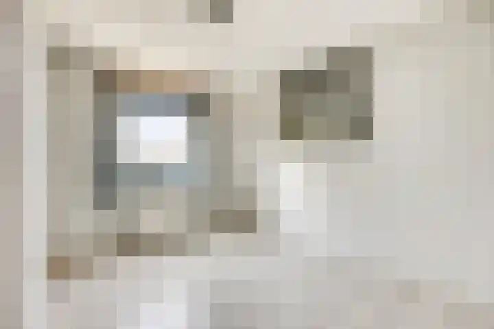 De Oude Wereld 67 Alphen aan den Rijn thumbnail 30