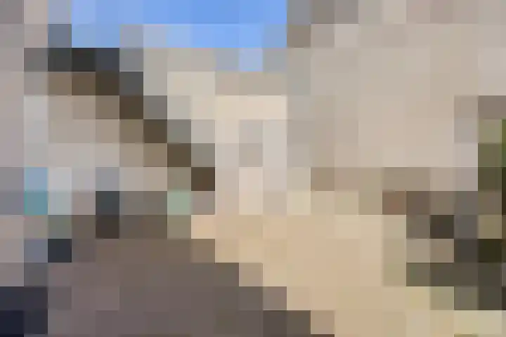 De Oude Wereld 67 Alphen aan den Rijn thumbnail 35
