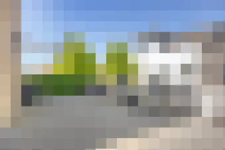 De Oude Wereld 67 Alphen aan den Rijn thumbnail 40