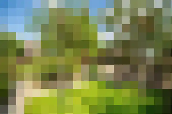 De Oude Wijk 27 Boskoop thumbnail 12