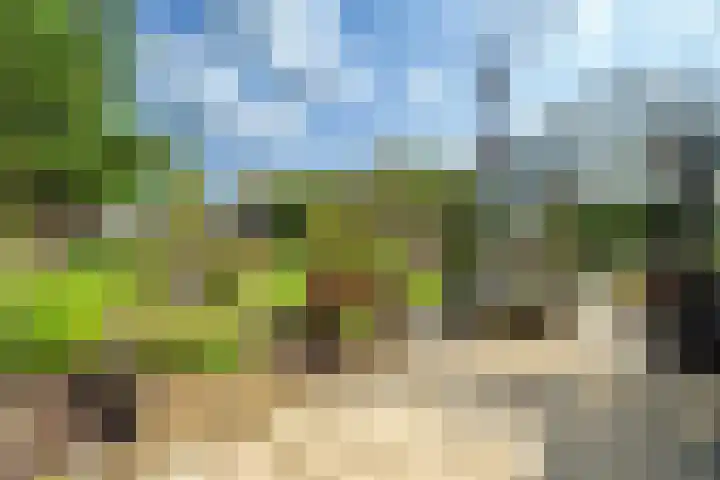 De Oude Wijk 27 Boskoop thumbnail 16