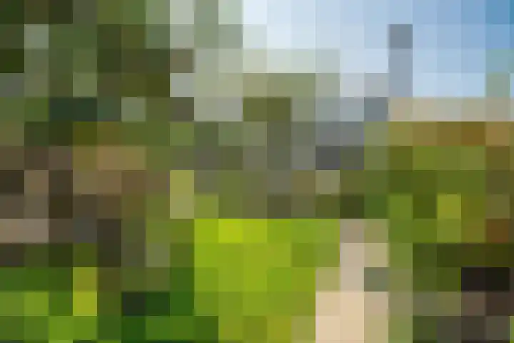 De Oude Wijk 27 Boskoop thumbnail 18