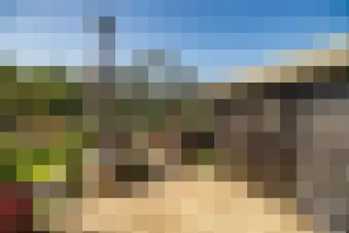 De Oude Wijk 27 Boskoop thumbnail 19