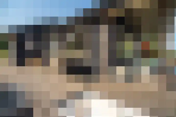 De Oude Wijk 27 Boskoop thumbnail 24