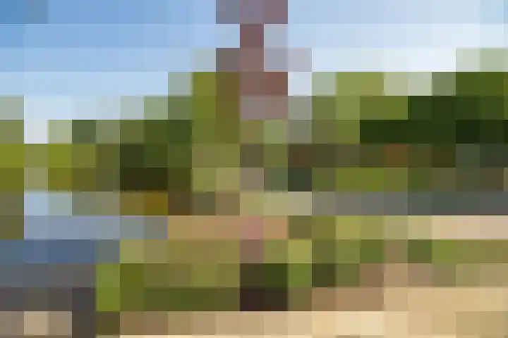 De Oude Wijk 27 Boskoop thumbnail 27