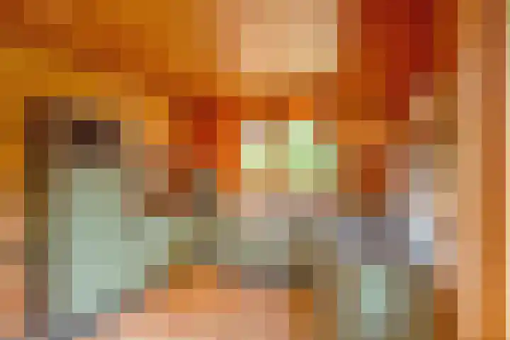 De Oude Wijk 27 Boskoop thumbnail 38