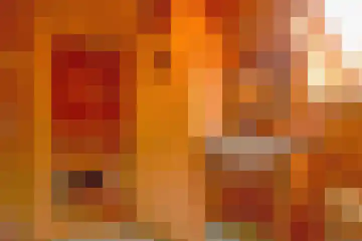 De Oude Wijk 27 Boskoop thumbnail 43