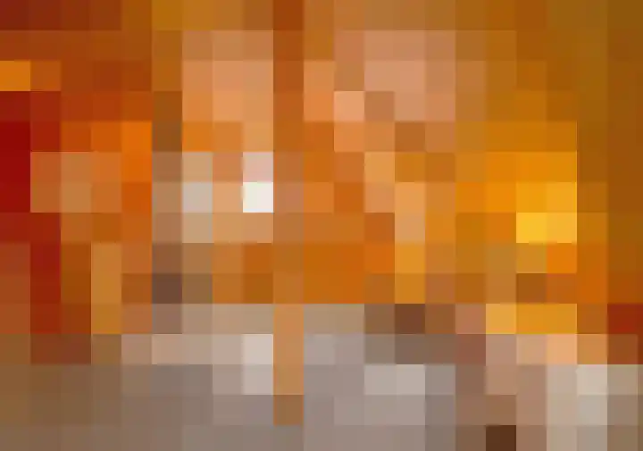 De Oude Wijk 27 Boskoop thumbnail 46