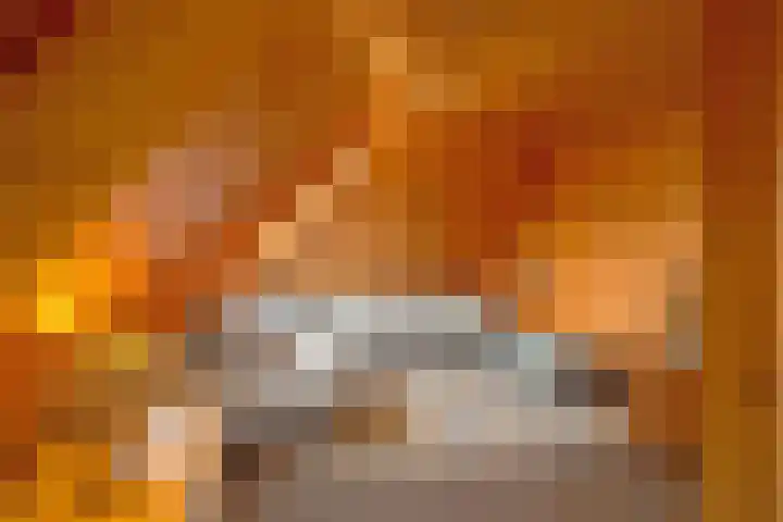 De Oude Wijk 27 Boskoop thumbnail 49