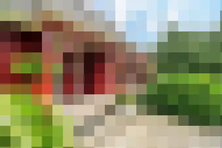 De Oude Wijk 27 Boskoop thumbnail 5
