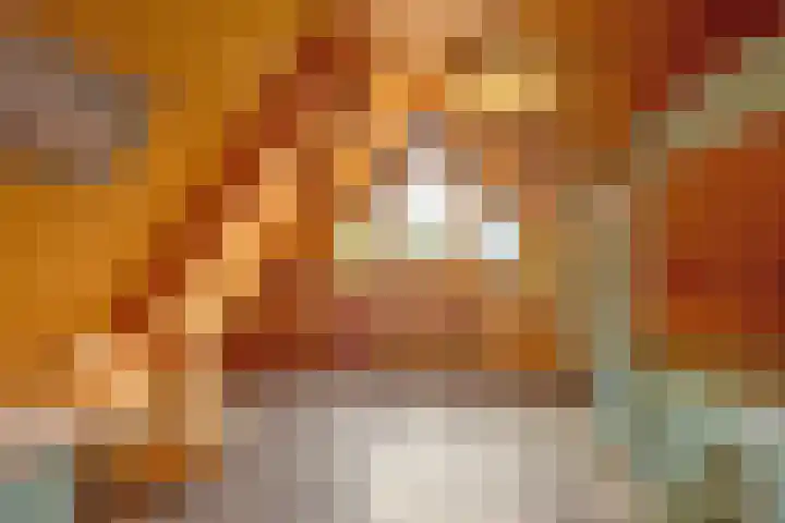 De Oude Wijk 27 Boskoop thumbnail 50