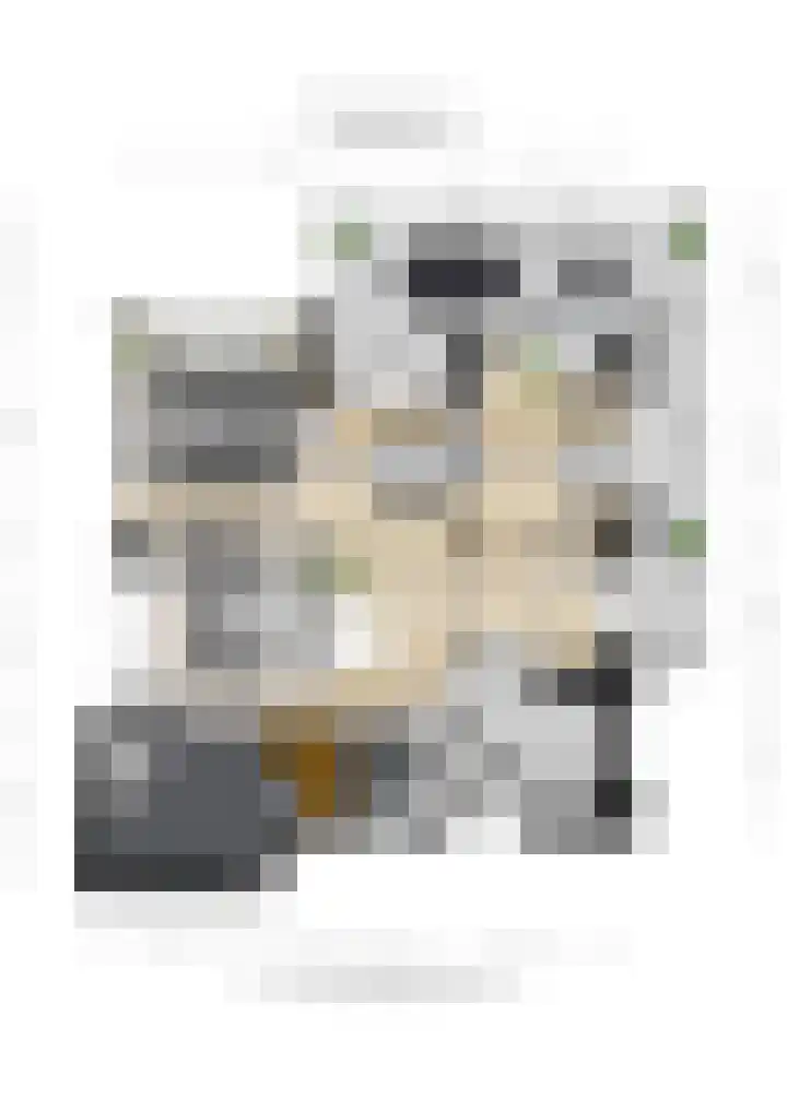 De Oude Wijk 27 Boskoop thumbnail 56