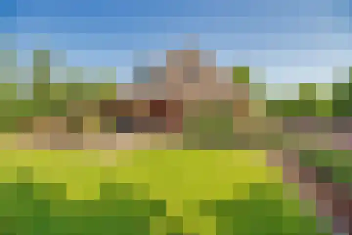 De Oude Wijk 27 Boskoop thumbnail 61