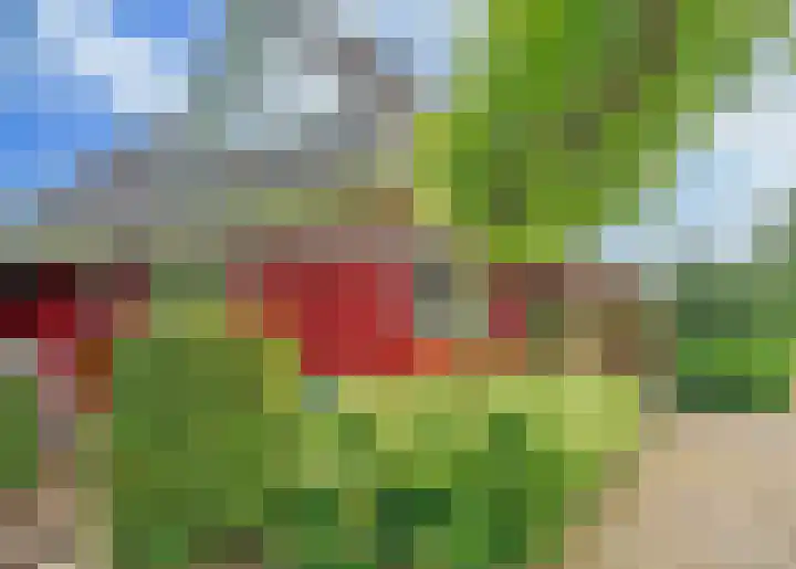 De Oude Wijk 27 Boskoop thumbnail 7