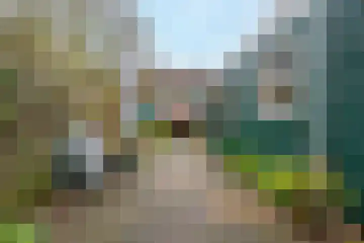 De Oude Zwan 3 Zaandam thumbnail 16