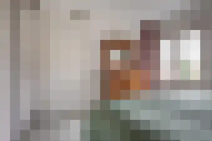 De Oude Zwan 3 Zaandam thumbnail 20
