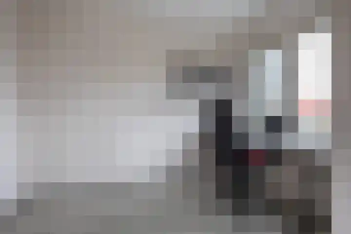 De Oude Zwan 3 Zaandam thumbnail 22