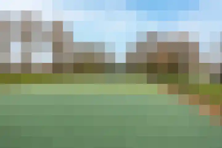 De Oude Zwan 3 Zaandam thumbnail 33