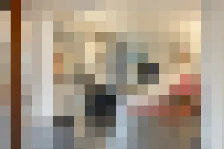 De Oude Zwan 3 Zaandam thumbnail 6