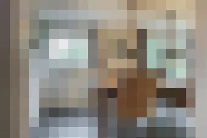 De Oude Zwan 3 Zaandam thumbnail 9