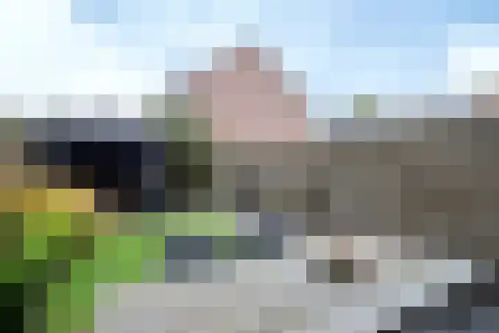 De Oudendijk 36 Hasselt thumbnail 17
