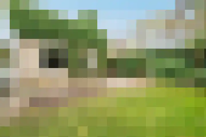 De Oudenhage 12 Amersfoort thumbnail 29