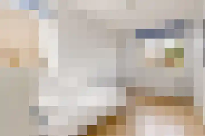 De Oudenhage 8 Amersfoort thumbnail 30