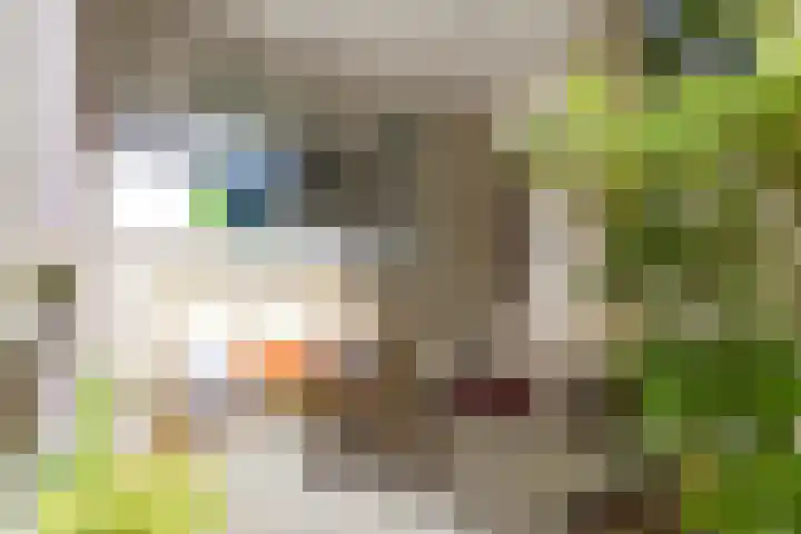 De Oudenhage 8 Amersfoort thumbnail 4