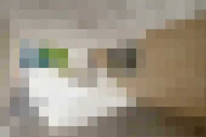 De Oudenhage 8 Amersfoort thumbnail 6