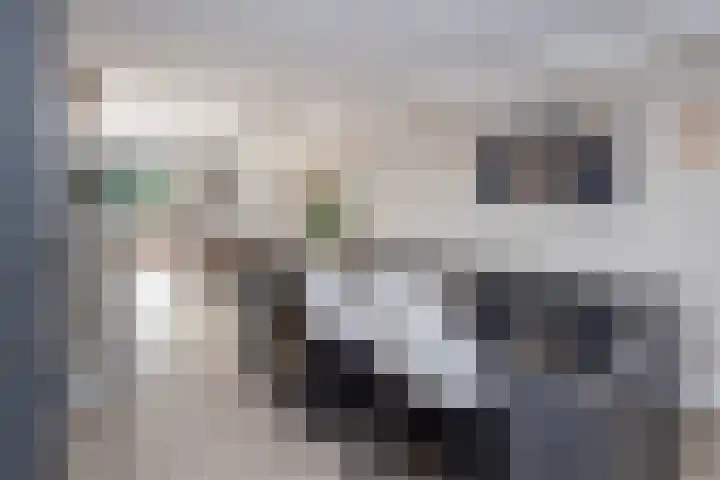 De Overhaal 17 Hem thumbnail 13