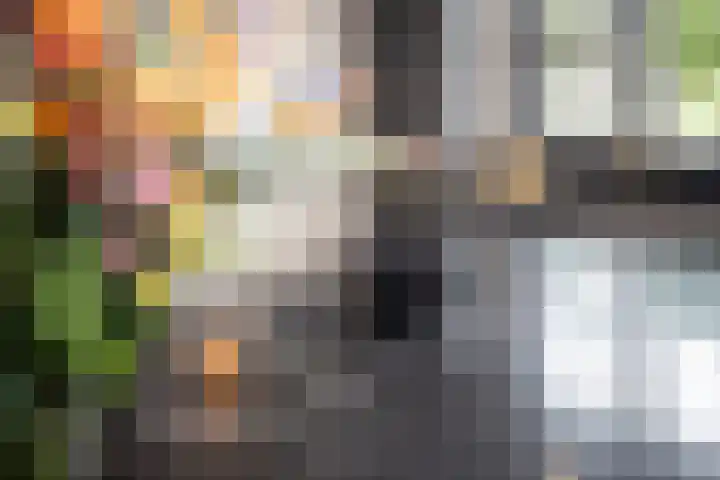 De Overhaal 17 Hem thumbnail 16