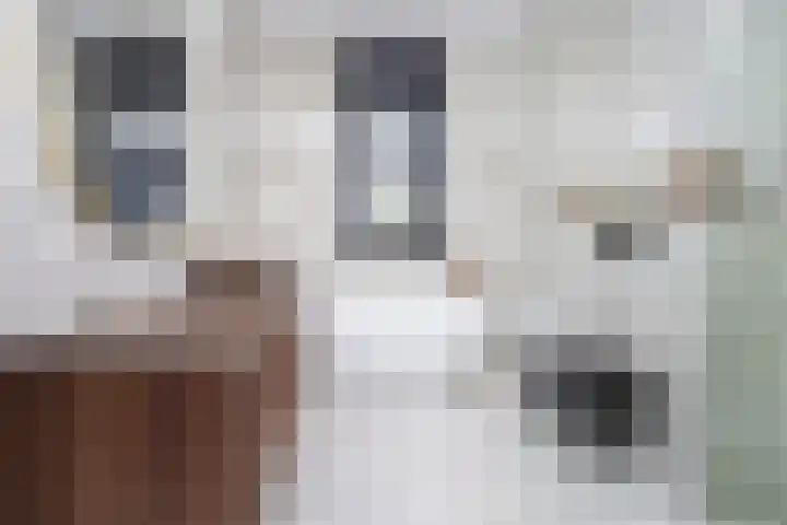 De Overhaal 17 Hem thumbnail 21