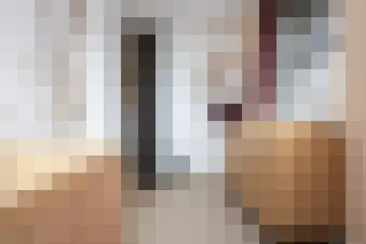 De Overhaal 17 Hem thumbnail 28