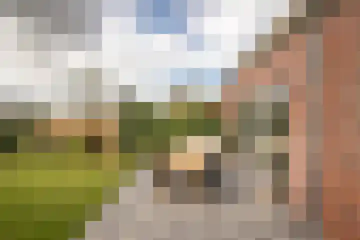 De Overhaal 17 Hem thumbnail 34