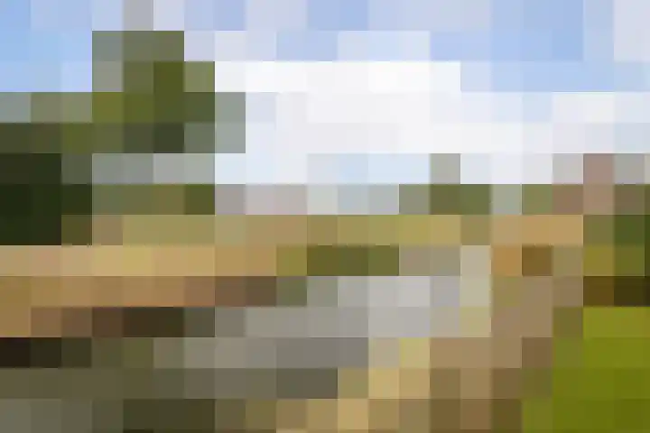 De Overhaal 17 Hem thumbnail 36