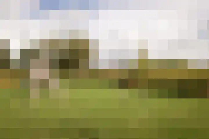 De Overhaal 17 Hem thumbnail 43