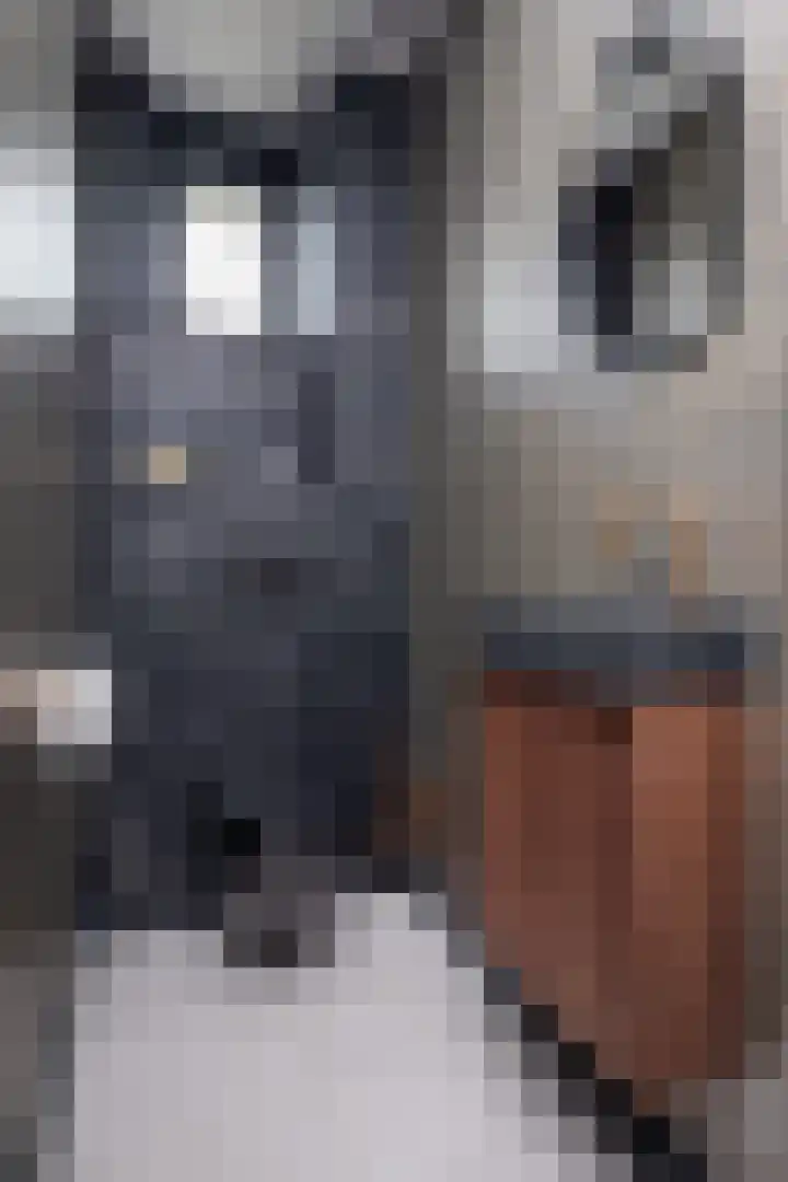 De Overhaal 17 Hem thumbnail 49